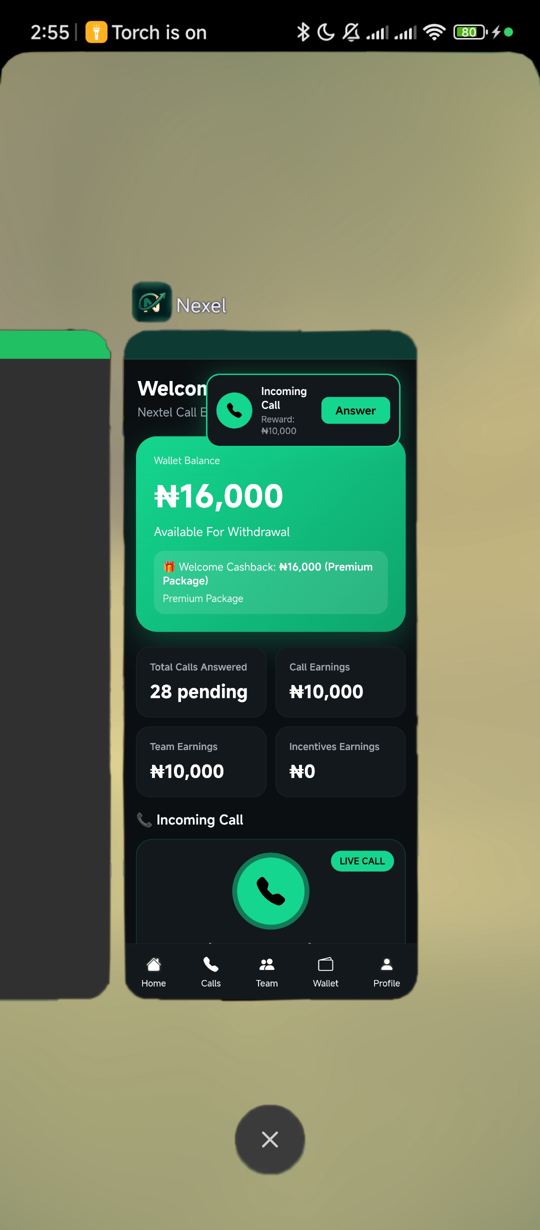 Nextel Wallet and Rewards Dashboard