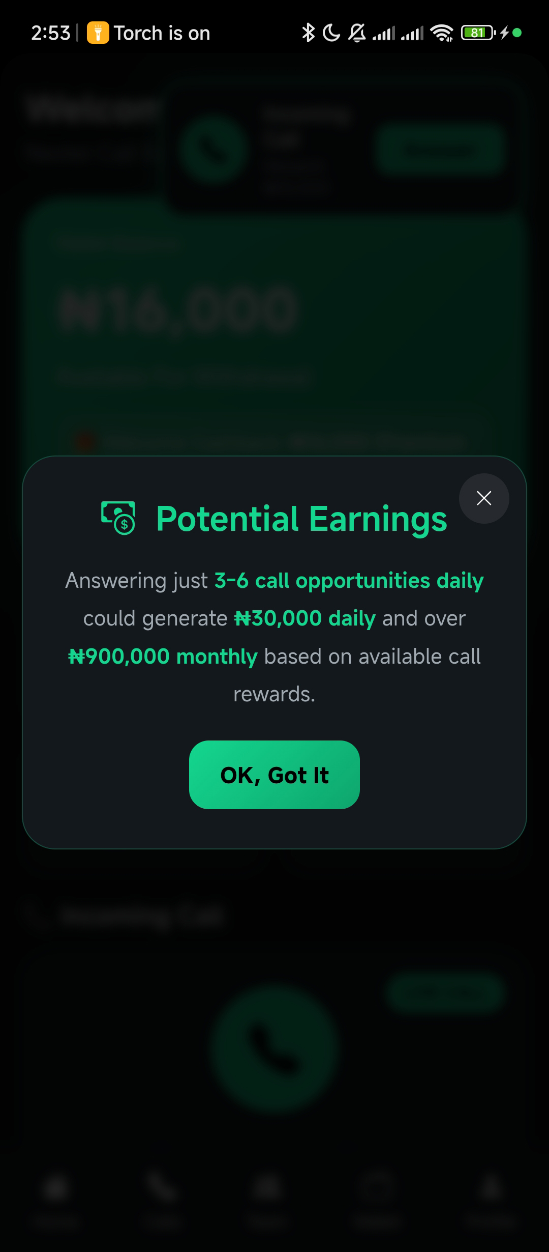 Team Earnings
