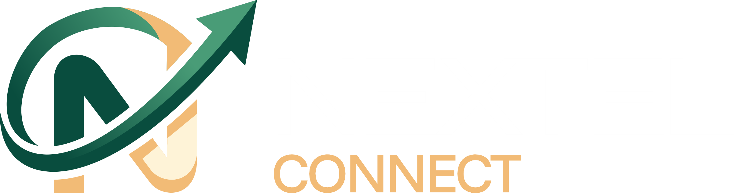Nexel Logo